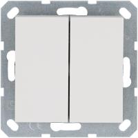 Кнопка 2-кл. 10А IP20 с переключающим контактом механизм бел. глянцевый Jasmart G3020W