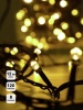Гирлянда "Кристалл" DC-ILD120-CGL 120LED 12м 220В с контроллером зол. Shlights 4690601042798
