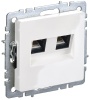 Розетка компьютерная двойн. СП RJ45 кат.5E BRITE РК10-2-БрБ механизм бел. IEK BR-K20-1-K01