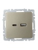 Розетка BRITE USB A+C 18Вт РЮ11-1-БрШ механизм шампань IEK BR-U22-018-K37