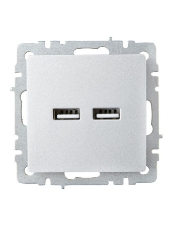 Розетка BRITE USB A+A 3.1А РЮ10-1-БрА механизм алюм. IEK BR-U21-D31-K47