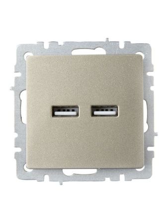 Розетка BRITE USB A+A 3.1А РЮ10-1-БрШ механизм шампань IEK BR-U21-D31-K37