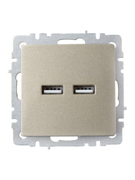 Розетка BRITE USB A+A 3.1А РЮ10-1-БрШ механизм шампань IEK BR-U21-D31-K37