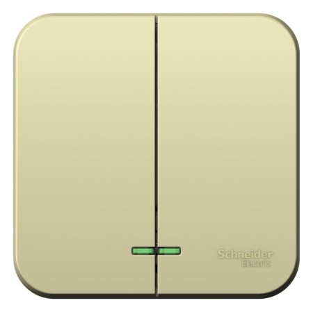 Выключатель 2-кл. ОП Blanca 10А IP20 (сх. 5) 250В с подсветкой с изолир. пластиной беж. SE BLNVA105117